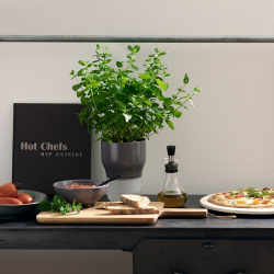 Eva Solo dressingshaker glas 0,25 liter