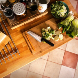 Fiskars Functional Form Santoku kniv