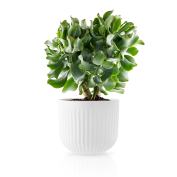 Eva Trio Legio Nova urtepotteskjuler 15,5 cm