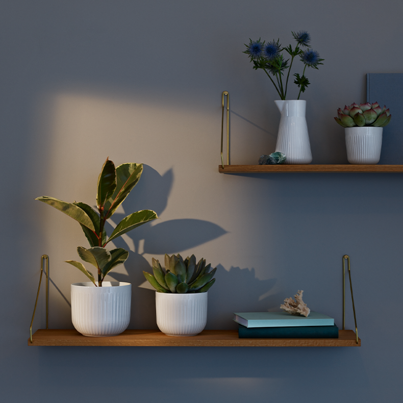 Eva Trio Legio Nova urtepotteskjuler 15,5 cm