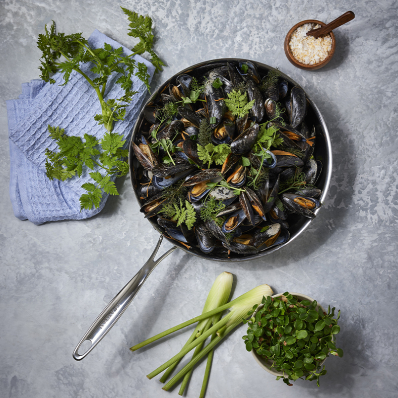 Scanpan Fusion 5 stegepande st�l �28 cm