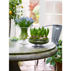 Holmegaard Old English Blomsterskl 19 cm