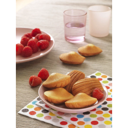 Tefal Snack Collection Box 15: mini madeleines